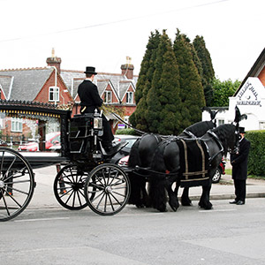 Image of a horse drawn hearse