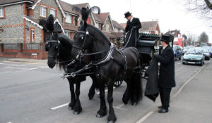 image of specialised horse drawn hearse for tailored and unique funeral services in croydon