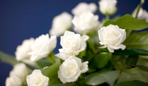 image of white roses for register a death