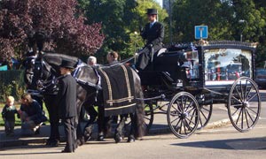 image of a horse and cart hearse for funeral video service in croydon