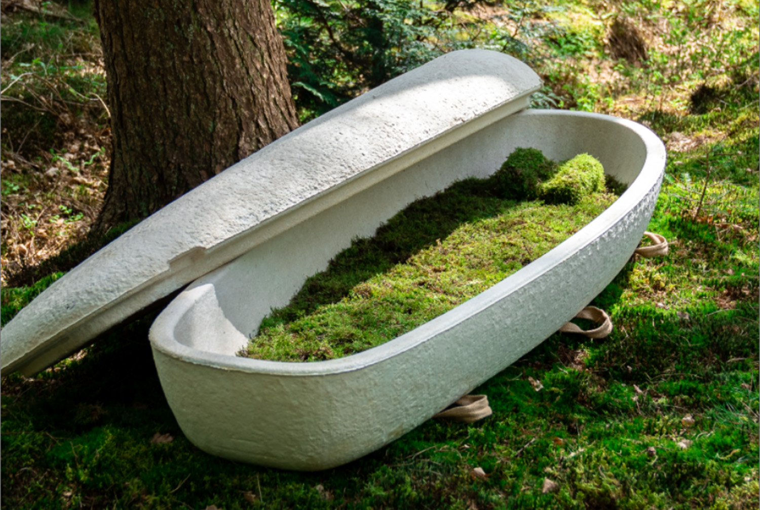 Eco-friendly Funeral