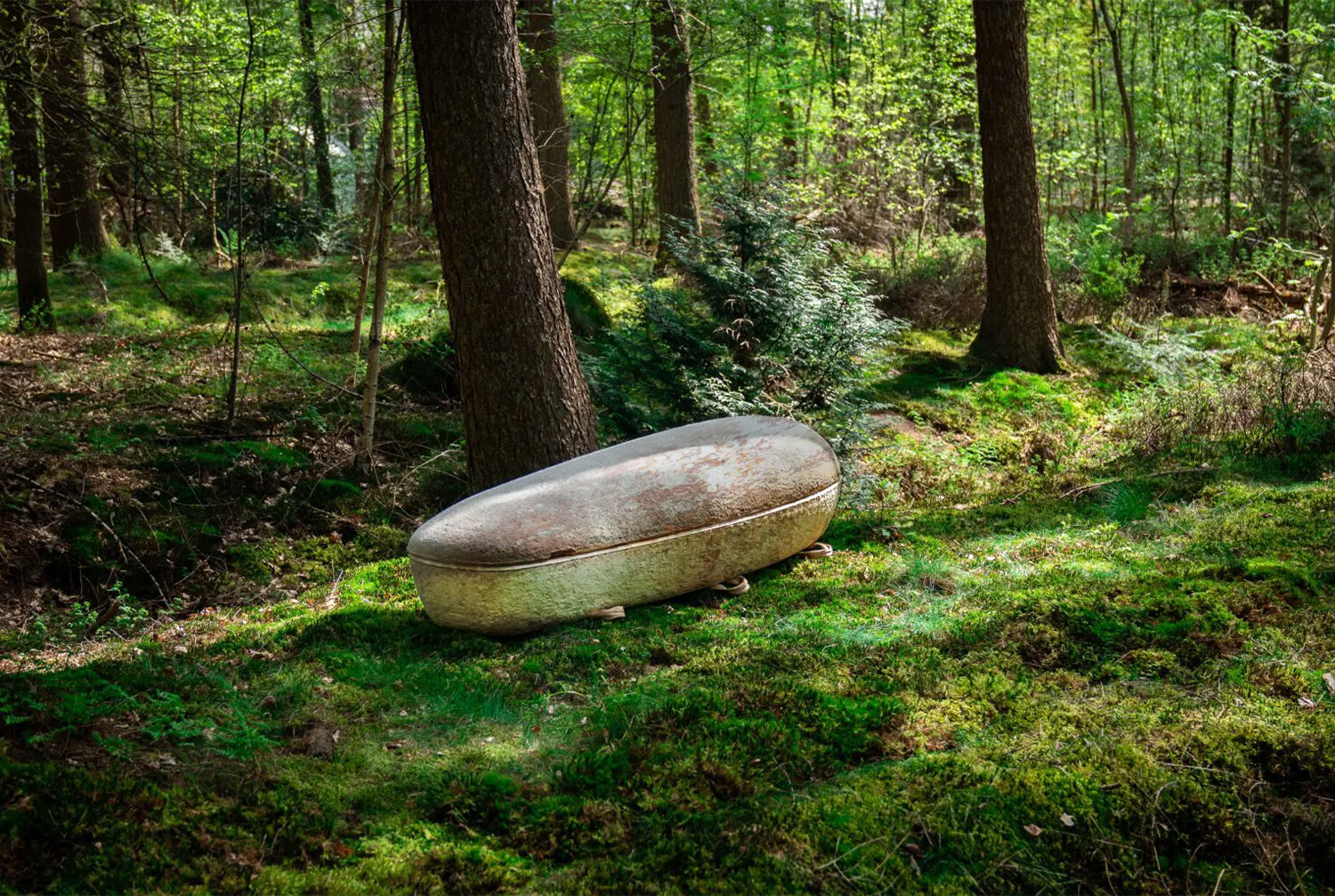 Eco-friendly Funeral