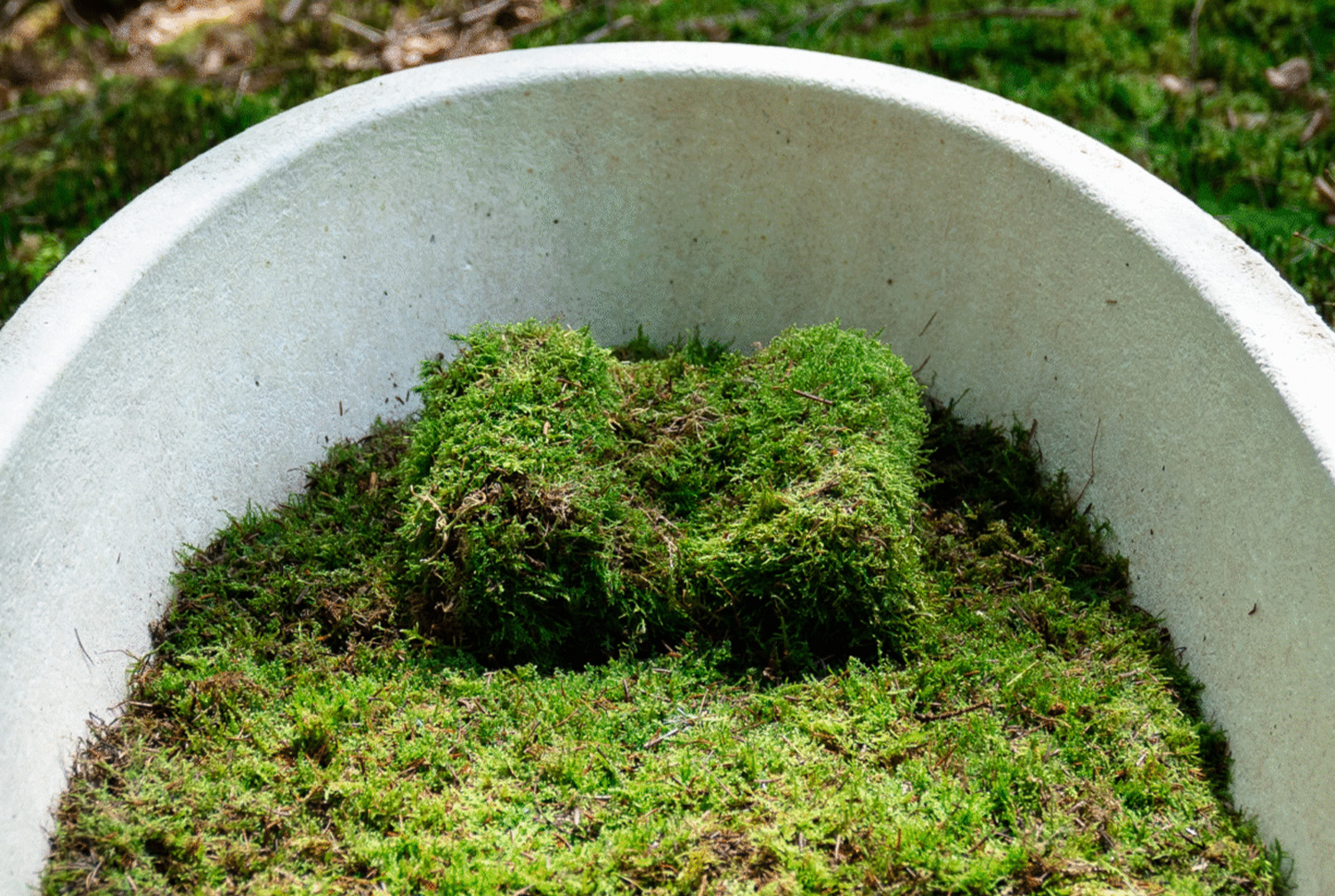 Eco-friendly Funeral