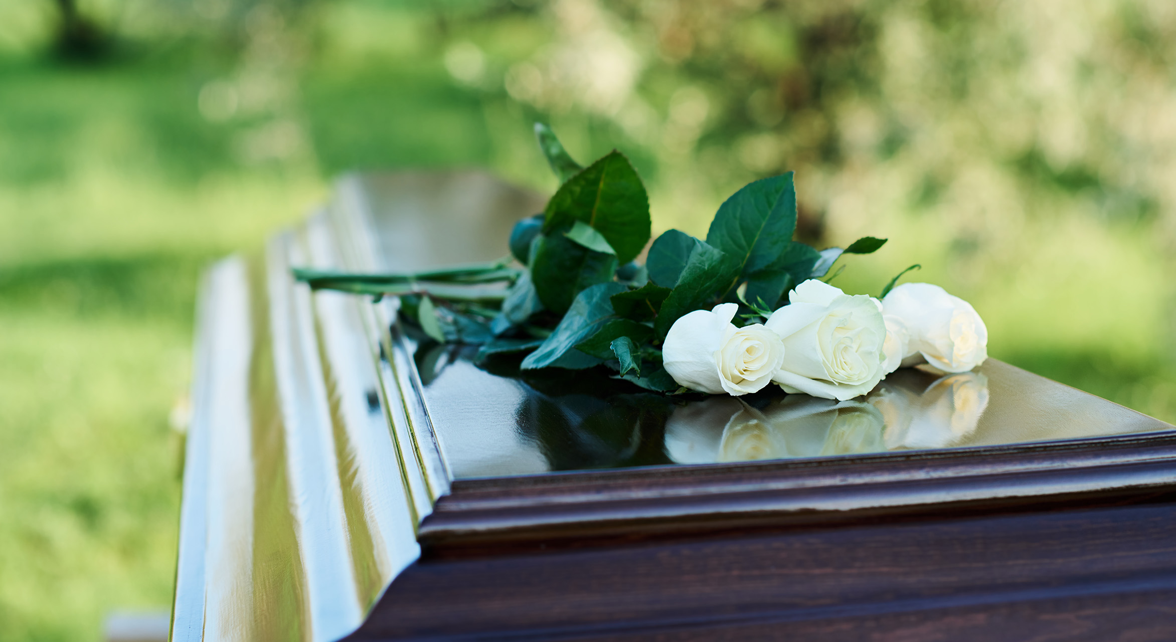 Coffin with white roses laying on top of it.